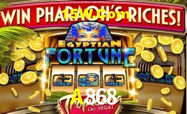 Experiência VIP A868